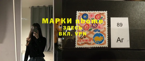 индика Тавда