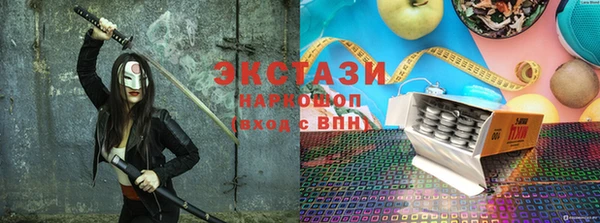 индика Тавда