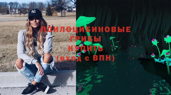 крисы Армянск