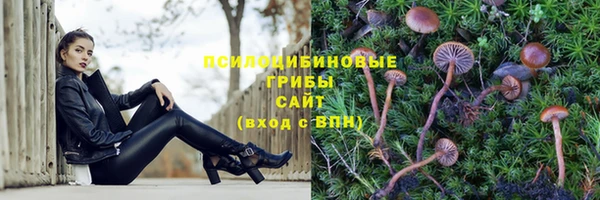 СК Тайга